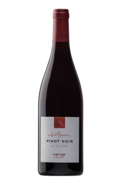 Igp Loire Pinot Noir Arielle Vatan 2023