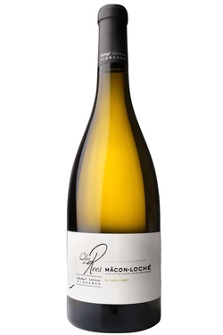 Mg Aop Macon Loche Pres Forest Clos Des Rocs 2024 Bio