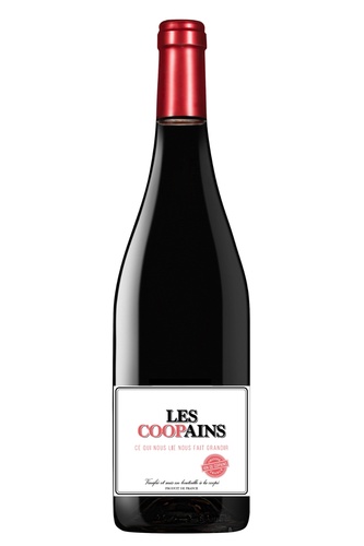 VIN DE FRANCE SYRAH LES COOPAINS SYRAH CASTELBARRY 2024